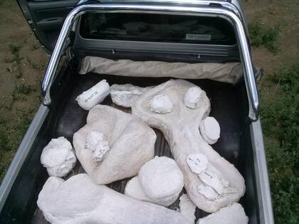 Bochones cargados en la camioneta para llevarlos al laboratorio