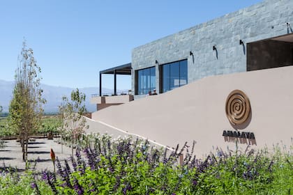 Bodega Amalaya cuenta con un wine bar de primer nivel.
