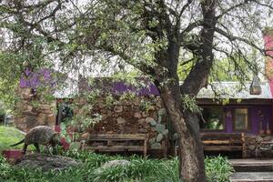 Una encantadora hostería con jardín botánico, bodega y una colección de cactus