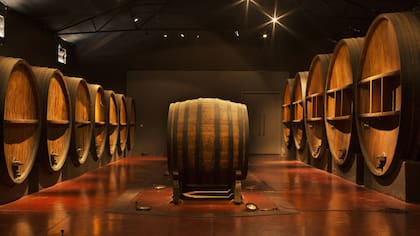 Bodega Dante Robino