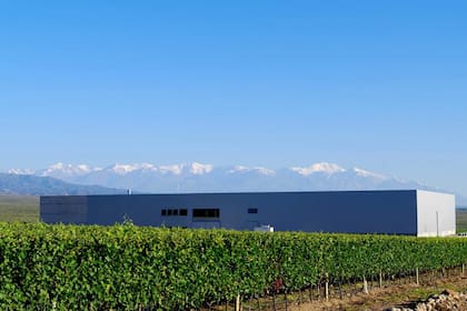 Bodega de Michel Rolland