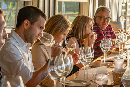 Bodega Gamboa tiene una amplia oferta gastronómica que complementa a sus vinos