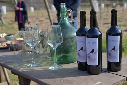 Bodega Las Hijas produce vinos orgánicos