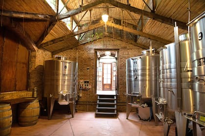 Bodega Los Nobles de San Javier, emprendimiento vitivícola pionero en Traslasierra