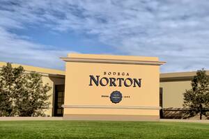 La Justicia fijó los plazos para el concurso de acreedores de Bodega Norton