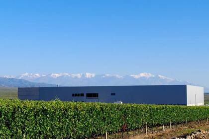 Bodega Rolland en Valle de Uco, Mendoza