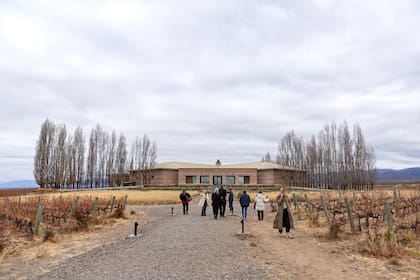 Bodega Salentein, en el Valle de Uco