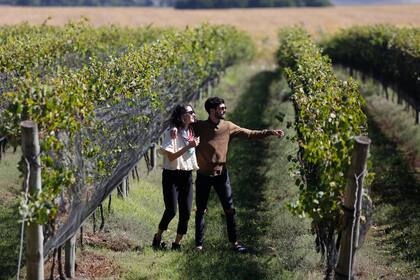 Bodega Trapiche Costa & Pampa en Chapadmalal