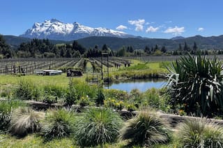 La nueva ruta del vino con paisajes deslumbrantes que crece en un valle patagónico