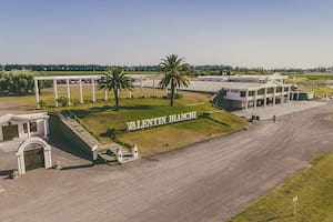 Bodegas Bianchi tomó nuevas medidas para evitar el concurso de acreedores