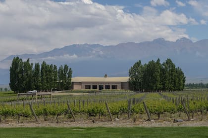 Bodegas Salentein en Valle de Uco, Mendoza