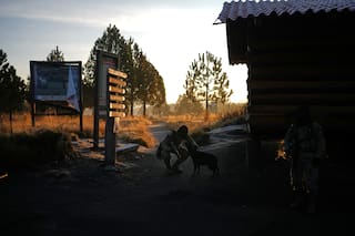 Boinas verdes mexicanos: un día de entrenamiento de la unidad élite que abatió a “El Mencho”