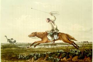 Relatos sobre el avestruz y lo que movía en la economía rural