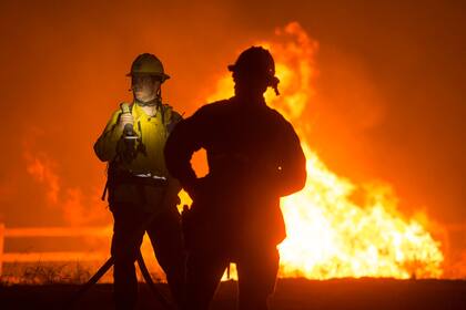 La combinación de la tierra y la espesa vegetación, sumada a los fuertes vientos, provocó que los incendios tengan bastante combustible para seguir con gran intensidad