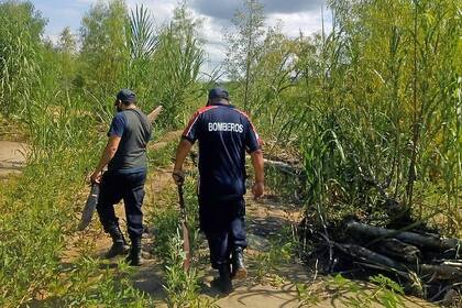 Bomberos de Orán en el rastrillaje por los desaparecidos en la frontera, en la zona de Aguas Blancas