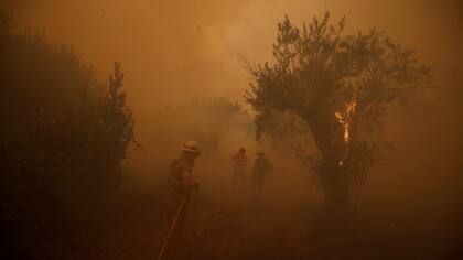 Bomberos trabajan para apagar un incendio forestal en el pueblo de Carvoeiro, cerca de Castelo Branco, Portugal.