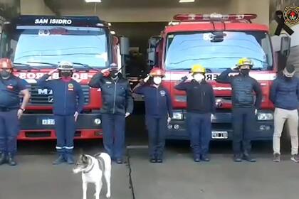 Bombi fue definida como una "compañera fiel" por el jefe de los bomberos de San Isidro, Daniel Gallego