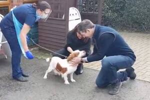 Bonnie había sido sustraída en 2014, se cree que para reproducción en un lugar de cría, y la semana pasada una guardia veterinaria la reencontró en una localidad distante unos 320 kilómetros de la casa de sus dueños