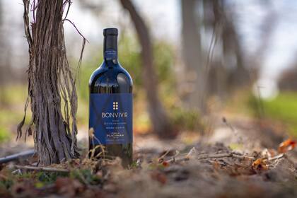 BONVIVIR Gran Corte 2022: hay solo 1500 ejemplares en botella Magnun de 1.5 litros