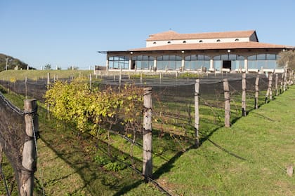 BordeRío es una de las bodegas pujantes de Victoria.