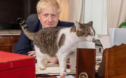 Boris Johnson junto al gato Larry