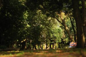 Bosque Encantado, un gran predio recreativo en una antigua estancia de época, uno de los atractivos de General Belgrano
