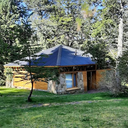 Bosque patagónico y prácticamente nada de señal.