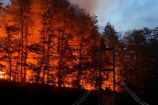 El crudo relato que expone las pérdidas productivas y ambientales por los incendios en la Patagonia