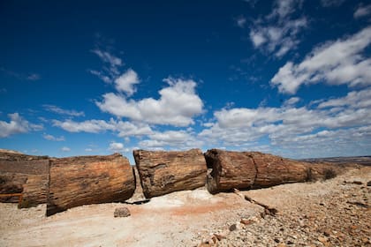 Bosques Petrificados de Jaramillo