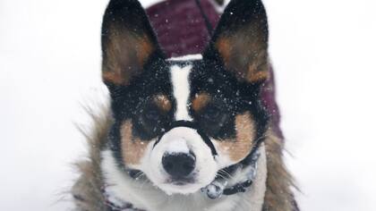 Boston, Massachusetts