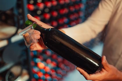 Botella del Malbec de 1912 de Luigi Bosca