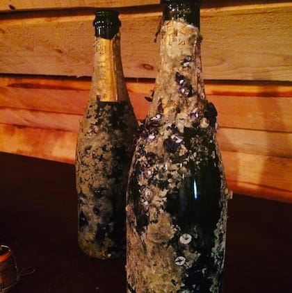 Botellas de Juglar Cuvee 1840 halladas en un naufragio en el Mar Báltico