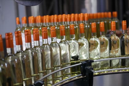 Botellas de vino en camino a su etiquetado
