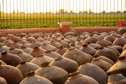 Botijas de pisco de la bodega Queirolo