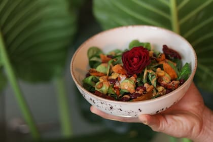 Bowls, una de las especialidades de la carta de La Suegra del Jardinero.