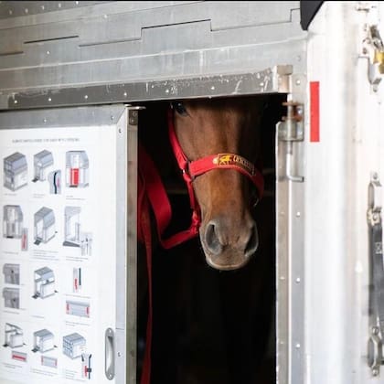 Boxes a bordo del avión