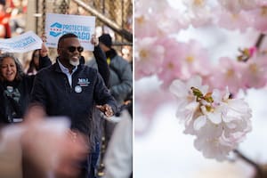 Brandon Johnson celebra los cherry blossoms en el “mini Japón” de Chicago