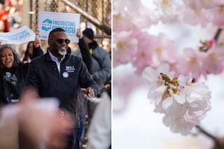 Brandon Johnson celebra los cherry blossoms en el “mini Japón” de Chicago