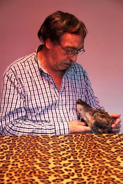 Brandoni defendió la ley de prohibción de las carreras de perros; en la foto, con su galga rescatada