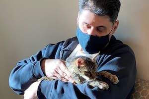 Una gata perdida hace 15 años se reencontró con su dueño en Estados Unidos