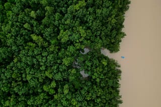 Brasil destinará 617,5 millones de US$ a inversión ecológica en la Amazonía