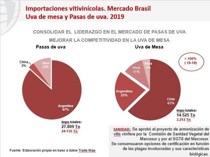 Brasil es clave como mercado regional que al año tiene importaciones totales por 14.525 toneladas, donde Chile concentra el 63%.