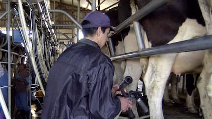 El gobierno argentino advirtió, además, que una decisión “no ajustada a la normativa internacional aplicable” podría afectar “la previsibilidad del entorno comercial” y generar consecuencias adversas para ambos países