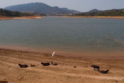 La sequía en la represa Jaguari, parte del sistema Cantareira, que provee agua a la zona metropolitana de San Pablo