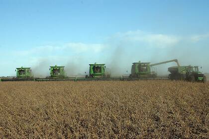 Brasil utilizó el auge de la soja para proteger y fortalecer su industria
