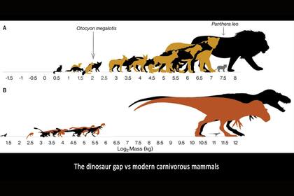 Brecha entre dinosaurios y mamíferos carnívoros modernos