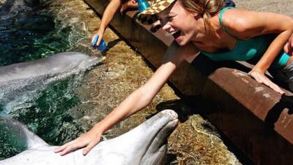 Brie Larson y la foto de la polémica