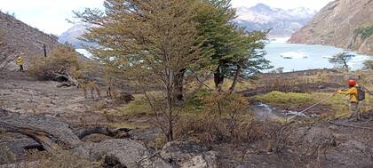 Brigadistas apagaron fuegos forestales el mes pasado en el Parque Nacional Los Glaciares