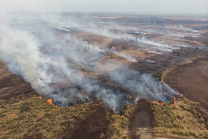 En lo que va del año, solamente en el delta del río Paraná se registraron más de 25.000 focos de incendios