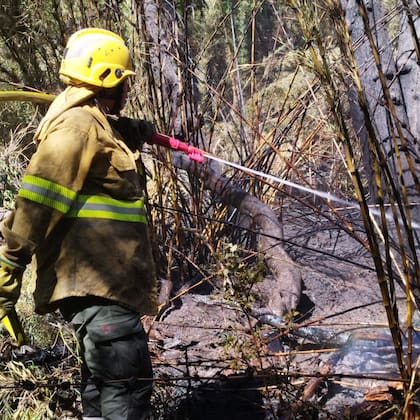 Brigadistas trabajan para controlar y apagar el incendio en el Parque Nacional Lanin